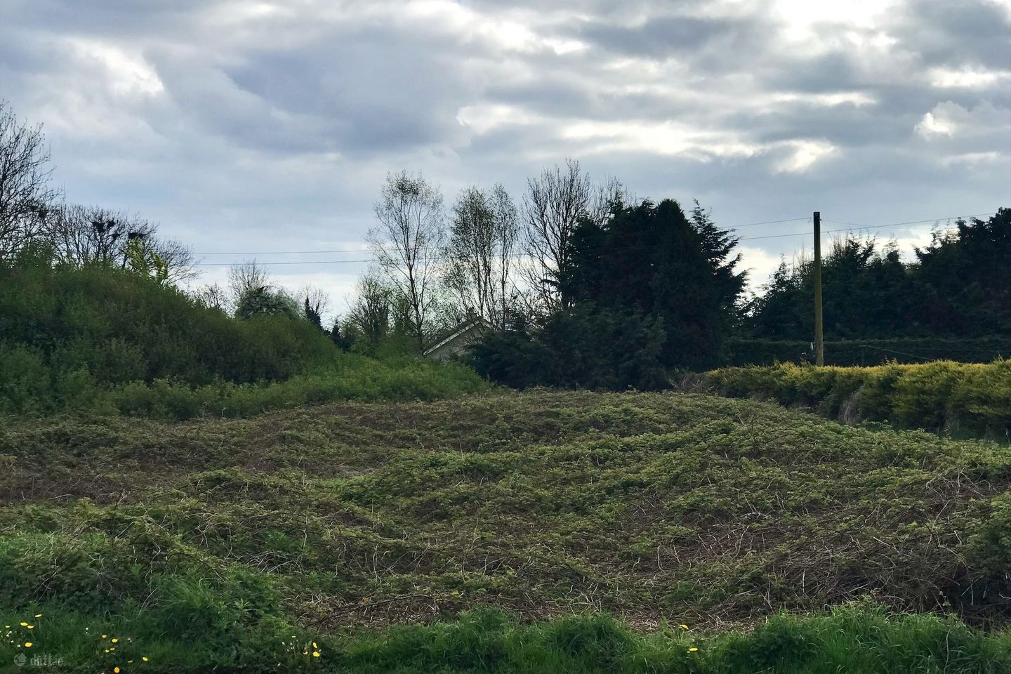 Killina, Carbury, Co. Kildare — photo 1