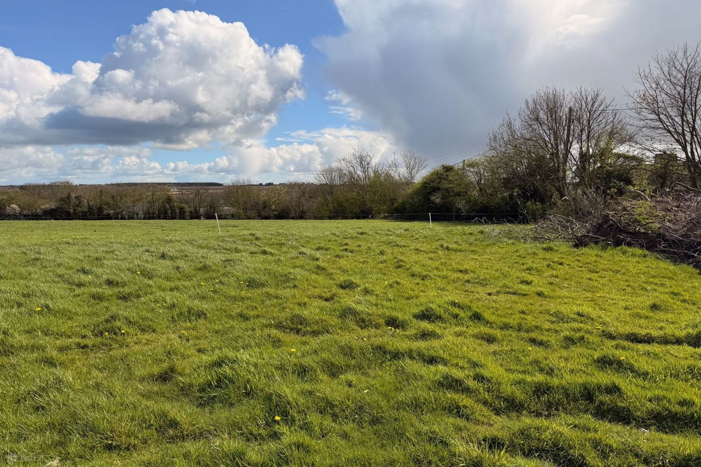 Boley, Ballycullane, Co. Wexford — photo 1