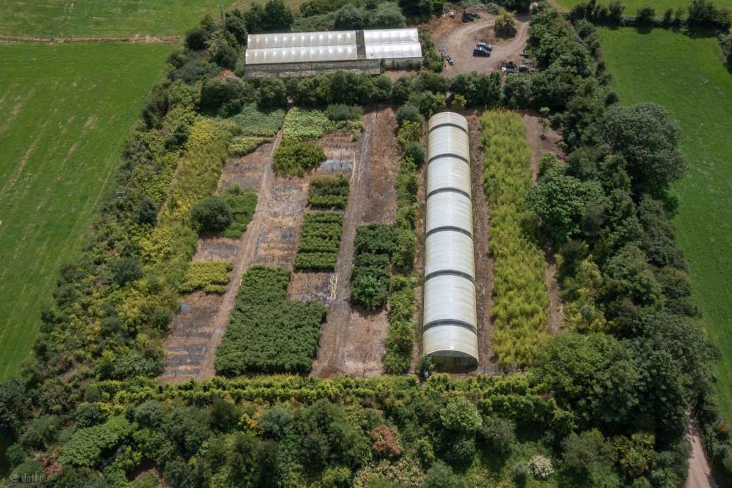 Stams Bamboo Nursery Ltd., Ballinwillin, Lismore, Co. Waterford, P51DK12 — photo 1