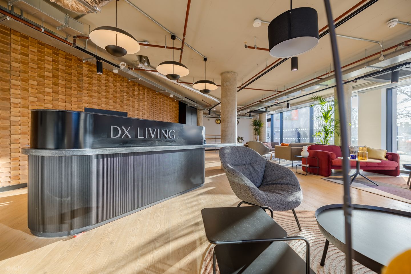 DX Reception Area 