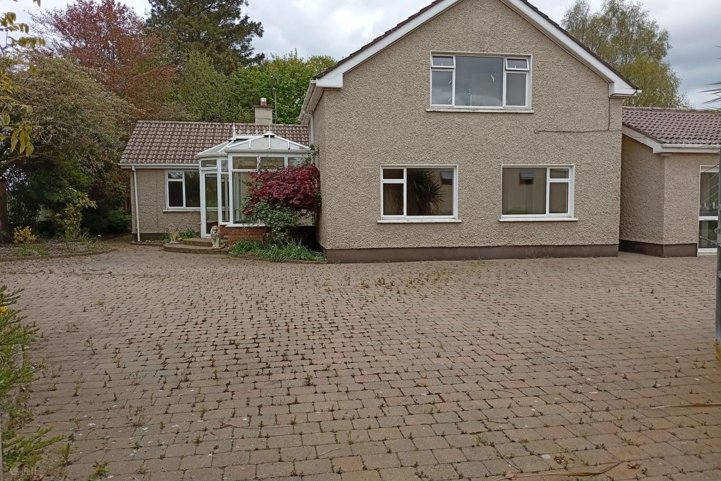 Extensive Equestrian property,Clifton Lodge, The Curragh, Ballysax, Co. Kildare, R56H288 — photo 1