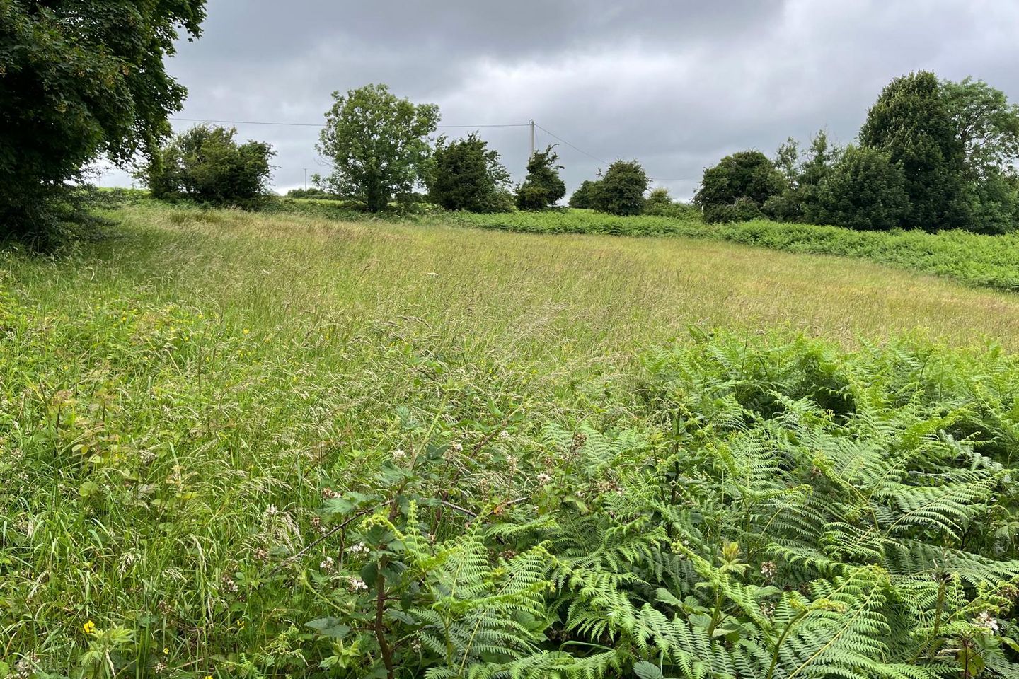 Ballinavally, Castlewarren, Co. Kilkenny — photo 1