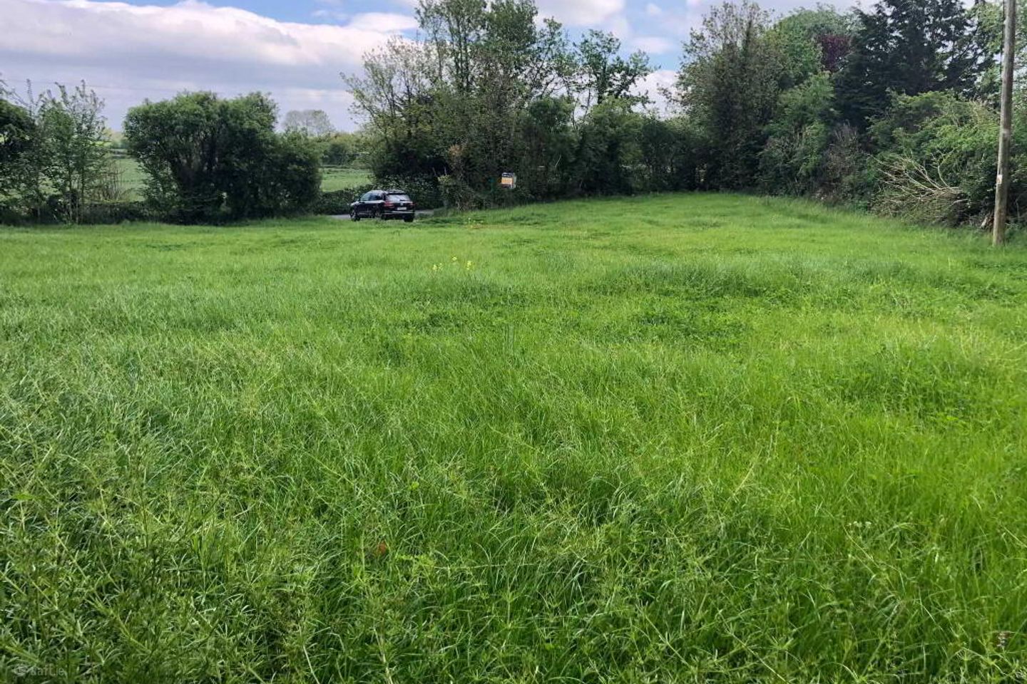 Lurriga, Patrickswell, Co. Limerick — photo 1