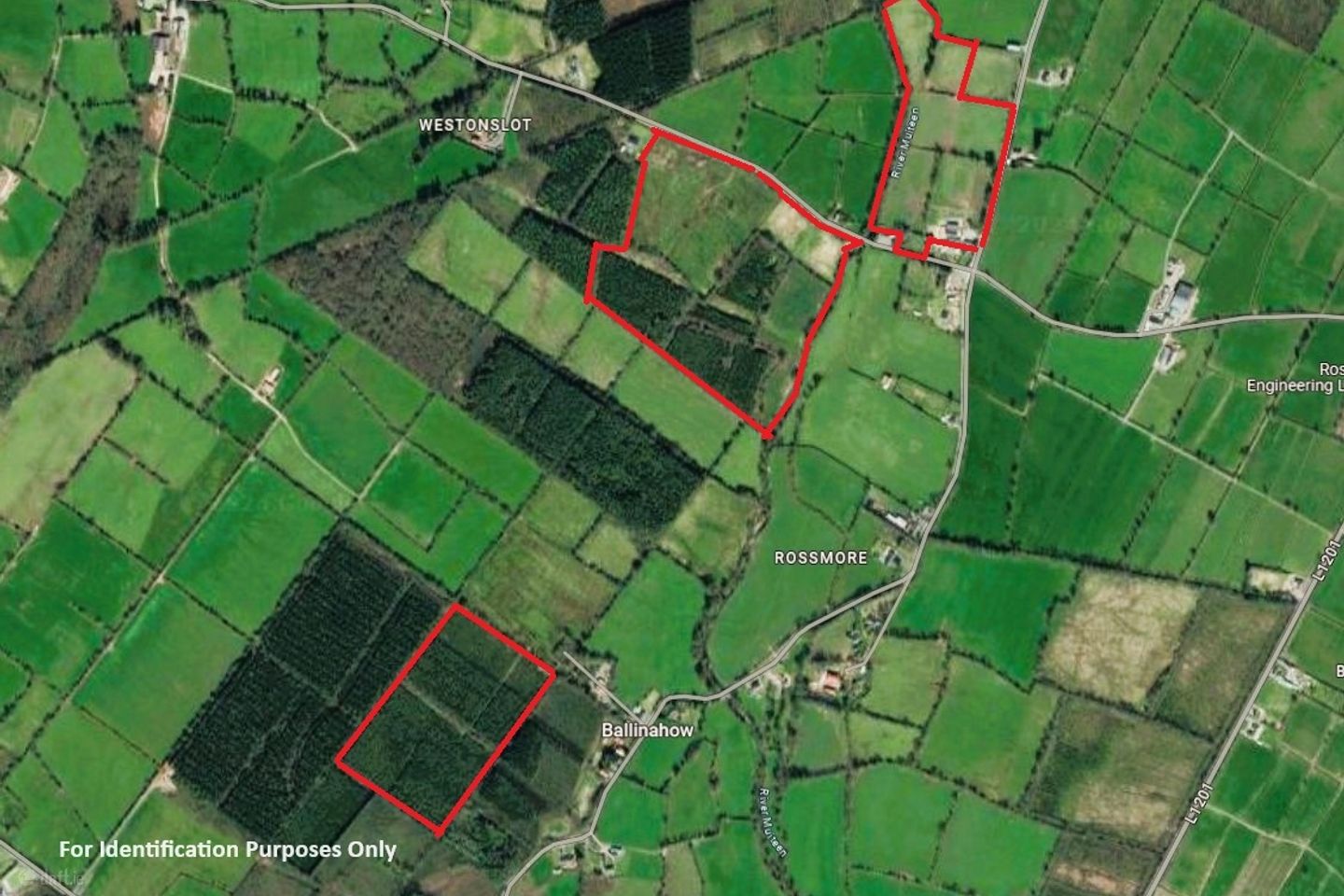 Lands Rossmore, Cashel, Co. Tipperary — photo 1