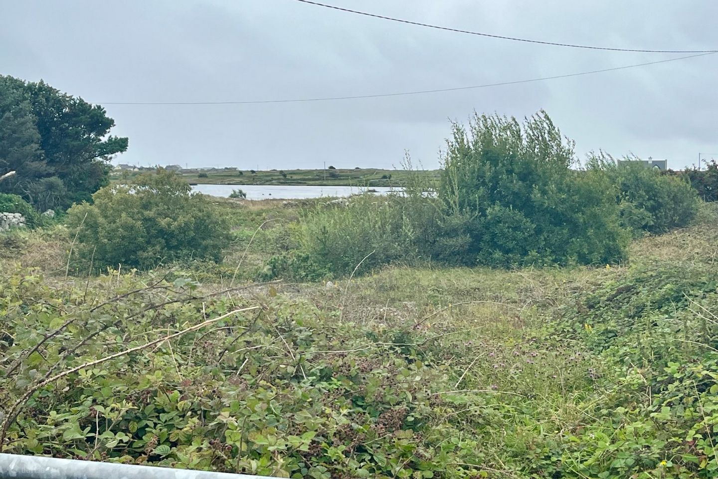 Bantrach, Ballynahown, Co Galway — photo 1