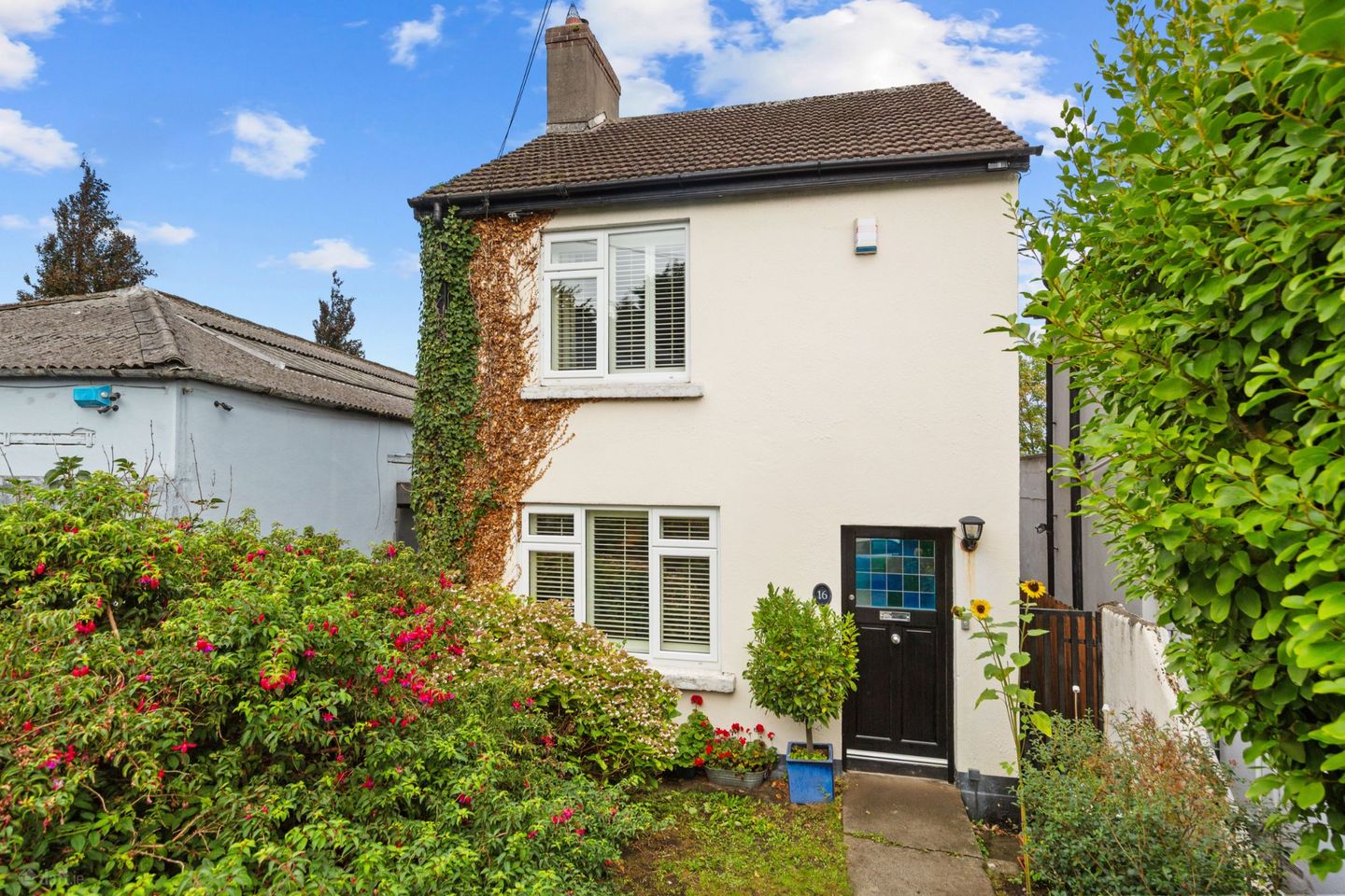 Woodbine, 16 St Clare's Avenue, Harold's Cross, Dublin 6W, D6WV403 — photo 1