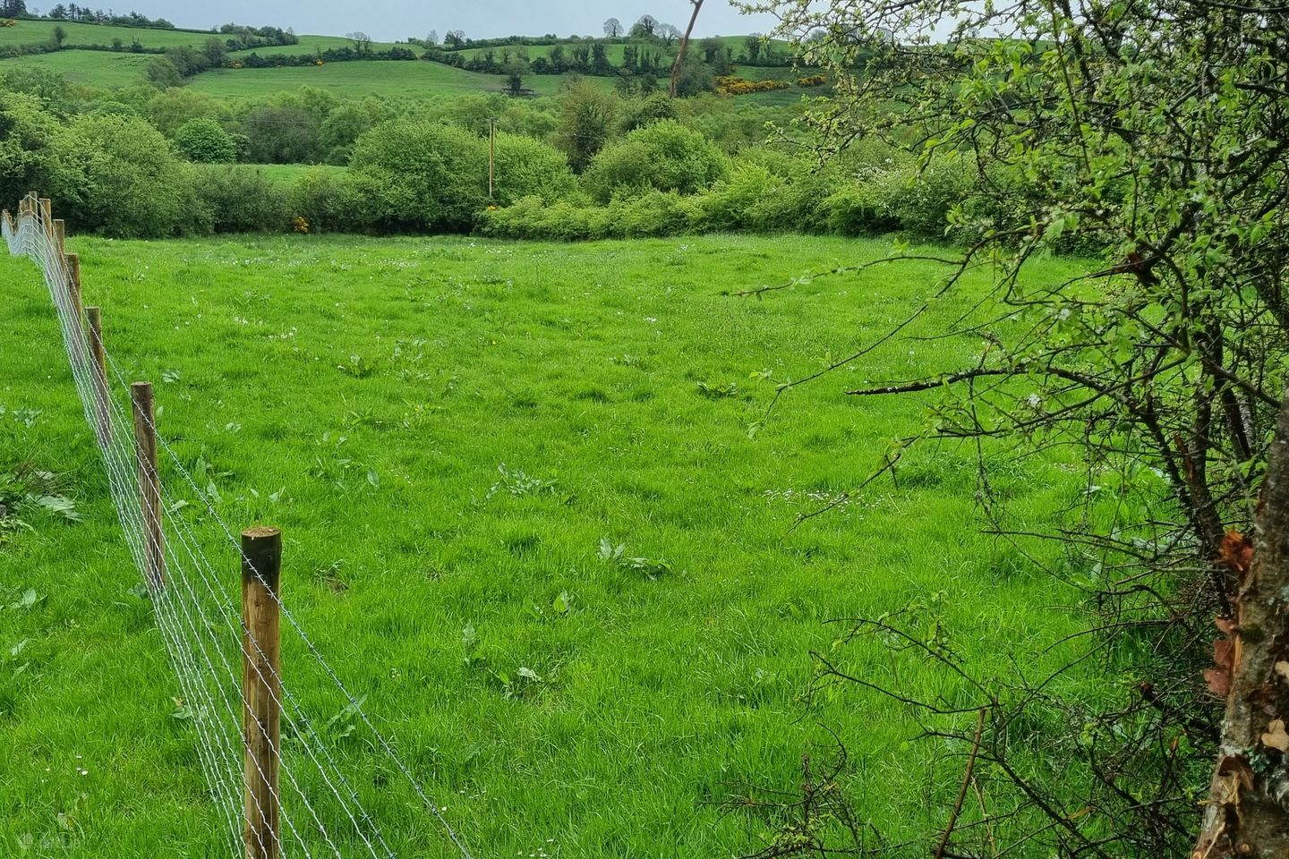 Fahymore, Kilmore, O'Briensbridge, Co. Clare, V94A034 — photo 1