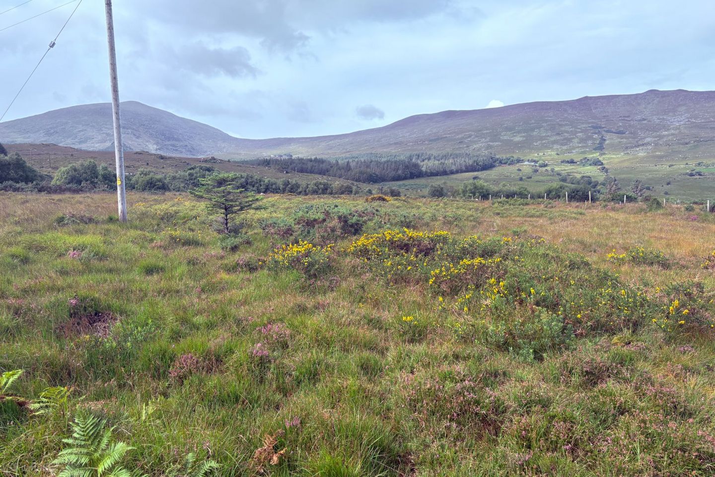 Dreenagh, Glencar, Co. Kerry, V93X2R2 — photo 1
