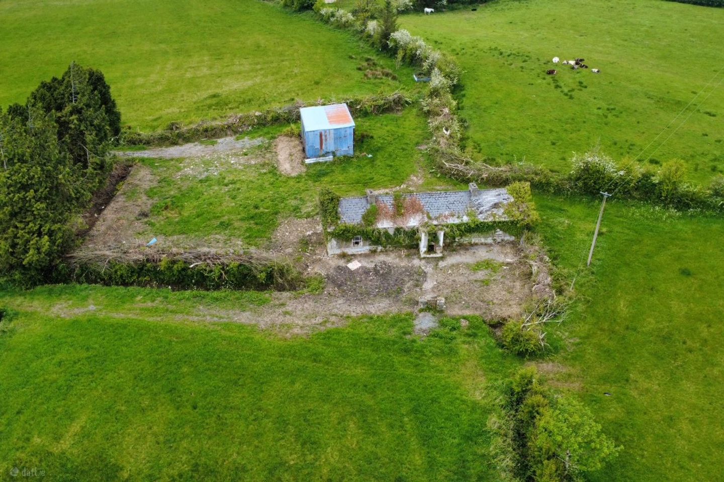 Ardagh, Frenchpark, Co. Roscommon — photo 1