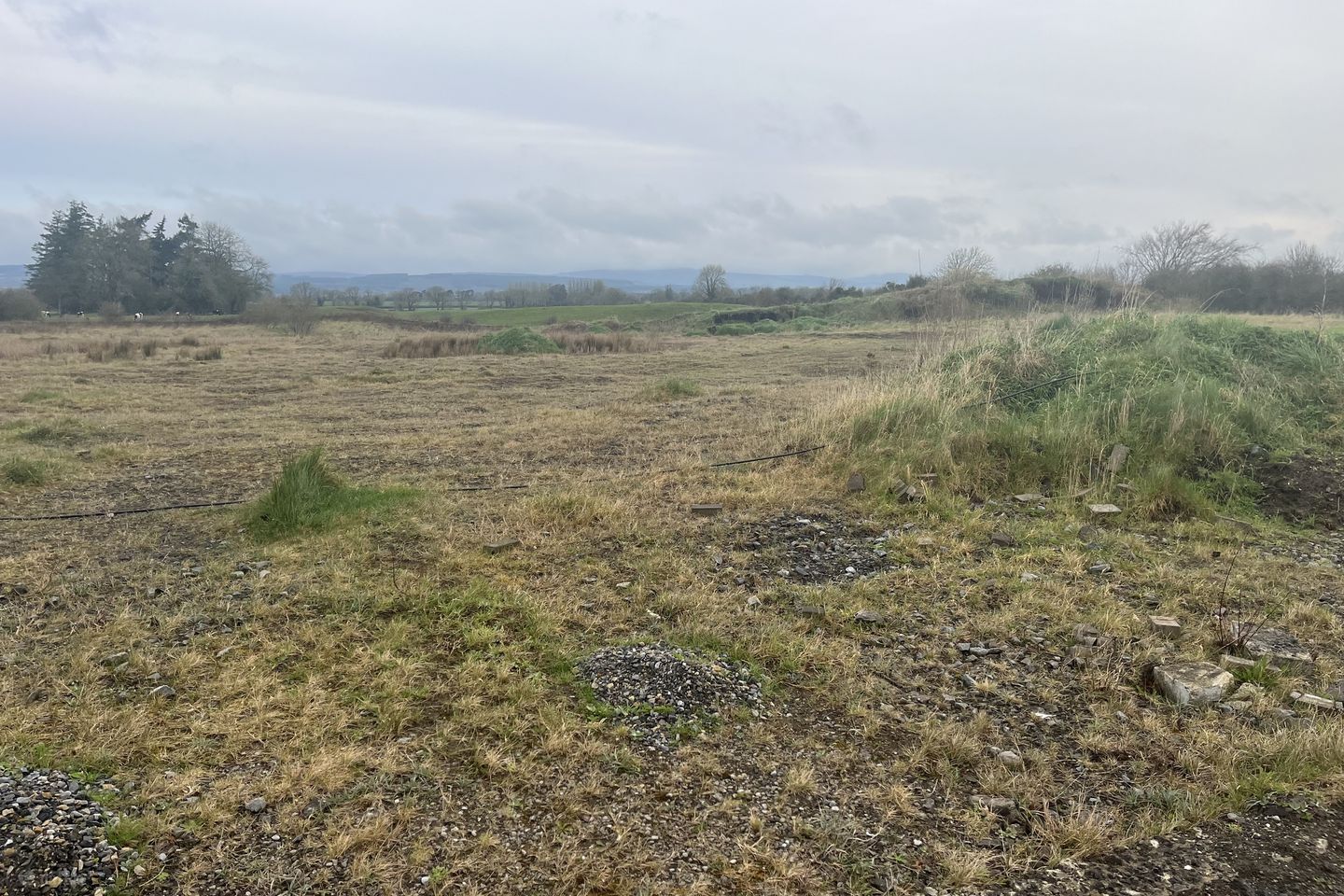 Glenall Rock Road, Borris-in-Ossory, Co. Laois — photo 1