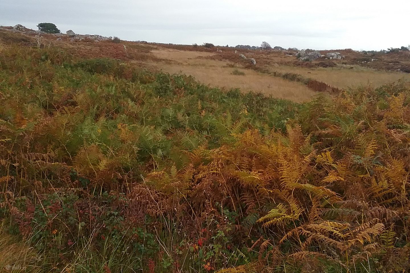Ballywilliam, Spiddal, Co. Galway — photo 1