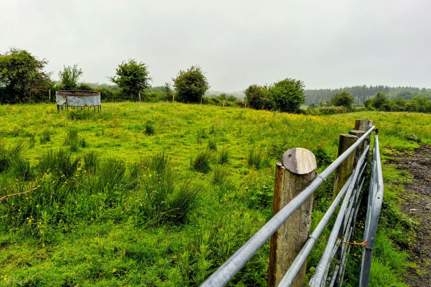 Liscottle, Swinford, Co. Mayo — photo 1
