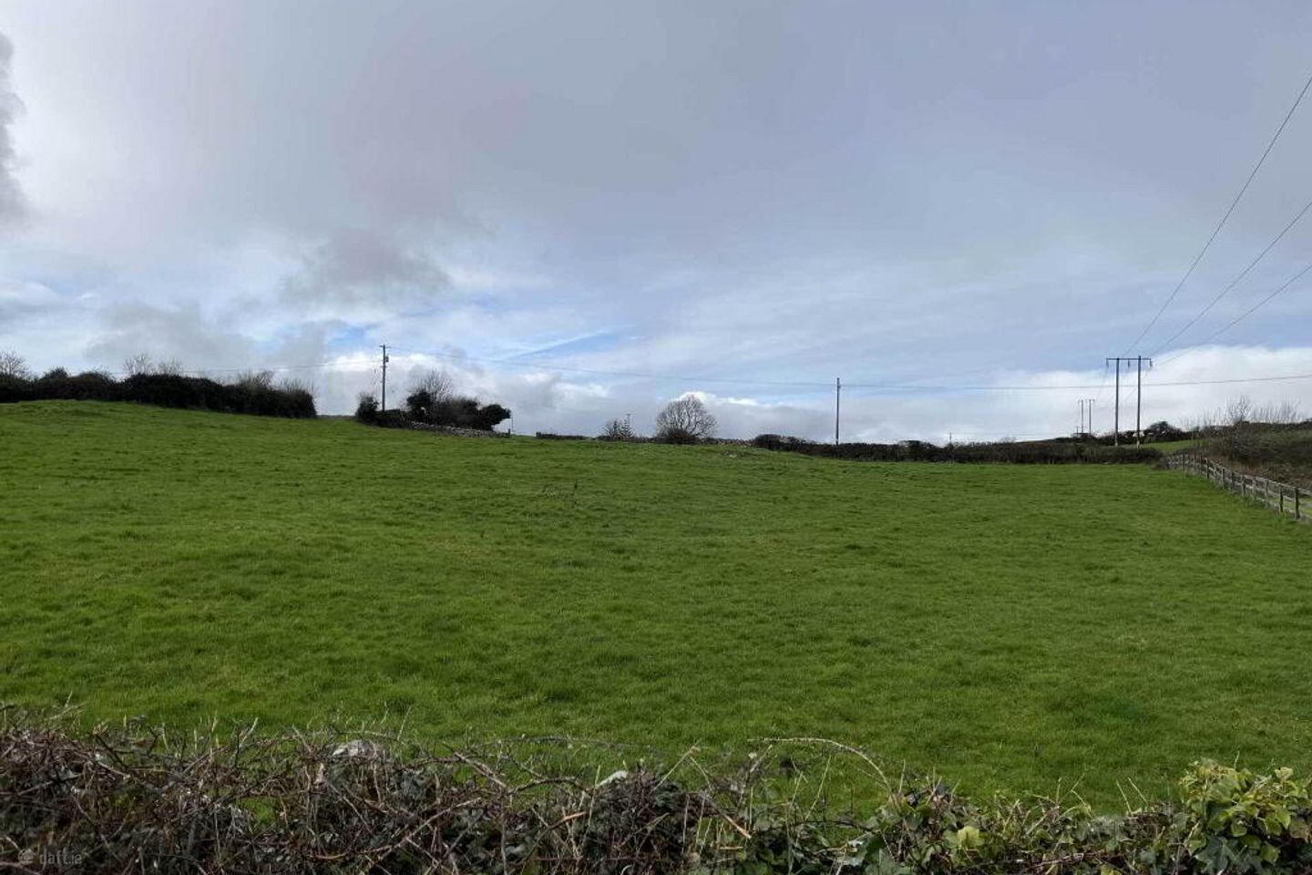 Corgrigg, Foynes, Co. Limerick — photo 1