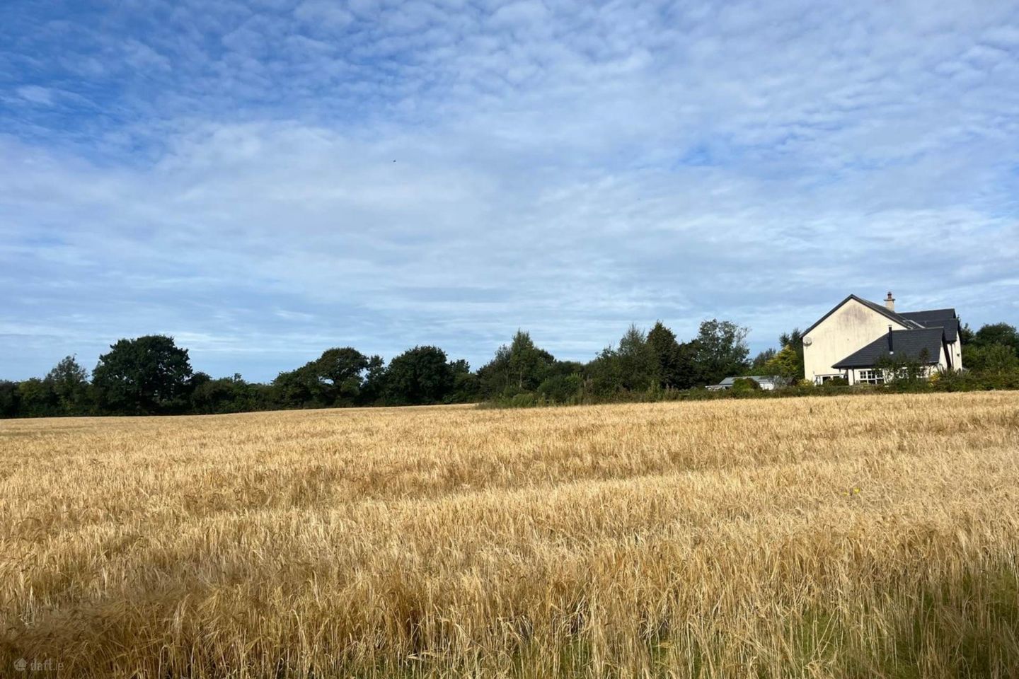 Ballyeden (C. 0.75 Acre Site), Camolin, Co. Wexford — photo 1