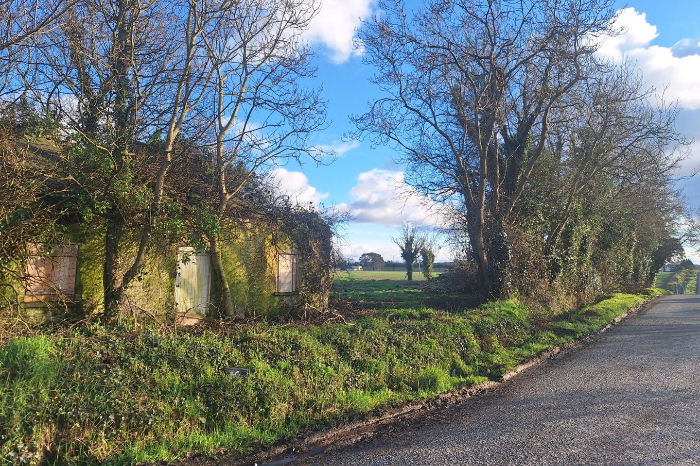 Dromin Cross, Dunleer, Dromin, Co. Louth — photo 1