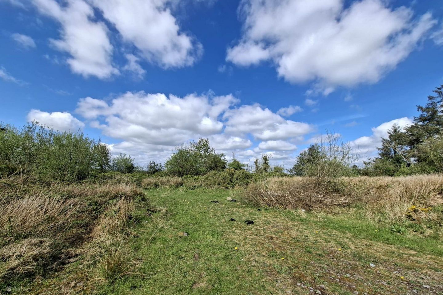 C. 1 Acre Site (Subject To Planning), Tallavnamraher (Mount Mary), Tallavnamraher, Creggs, Co. Galway — photo 1