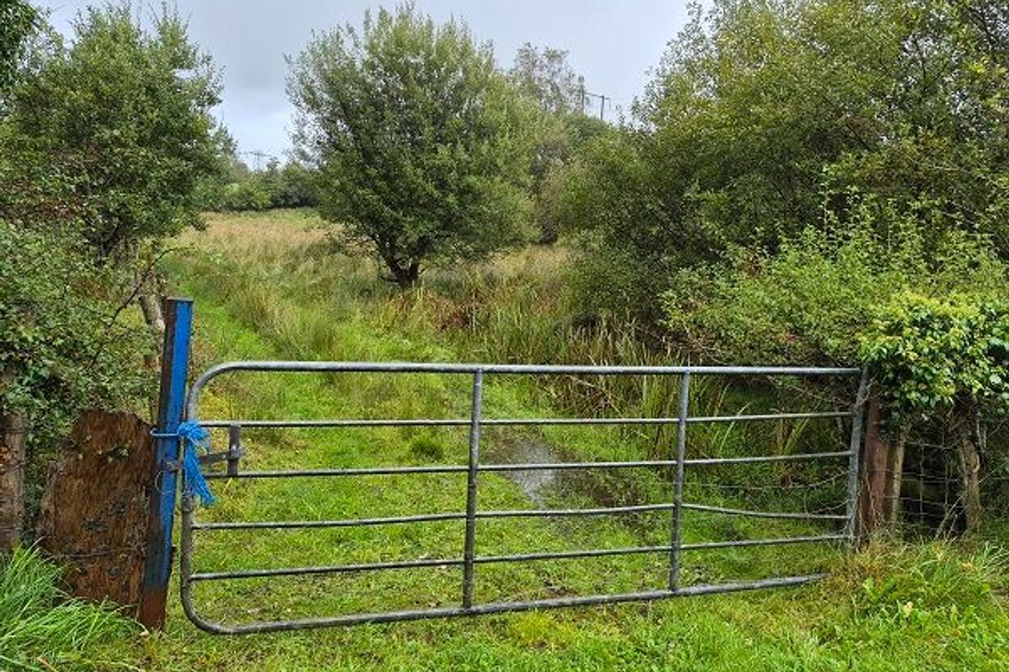 Deerpark, Manorhamilton, Co. Leitrim — photo 1