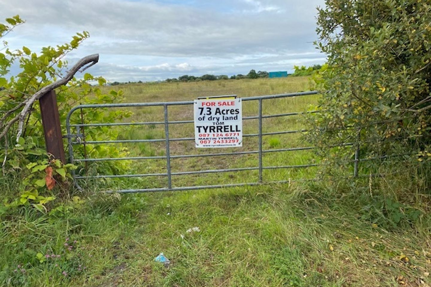 Curraghmore, Curraghline, Galway City Centre — photo 1
