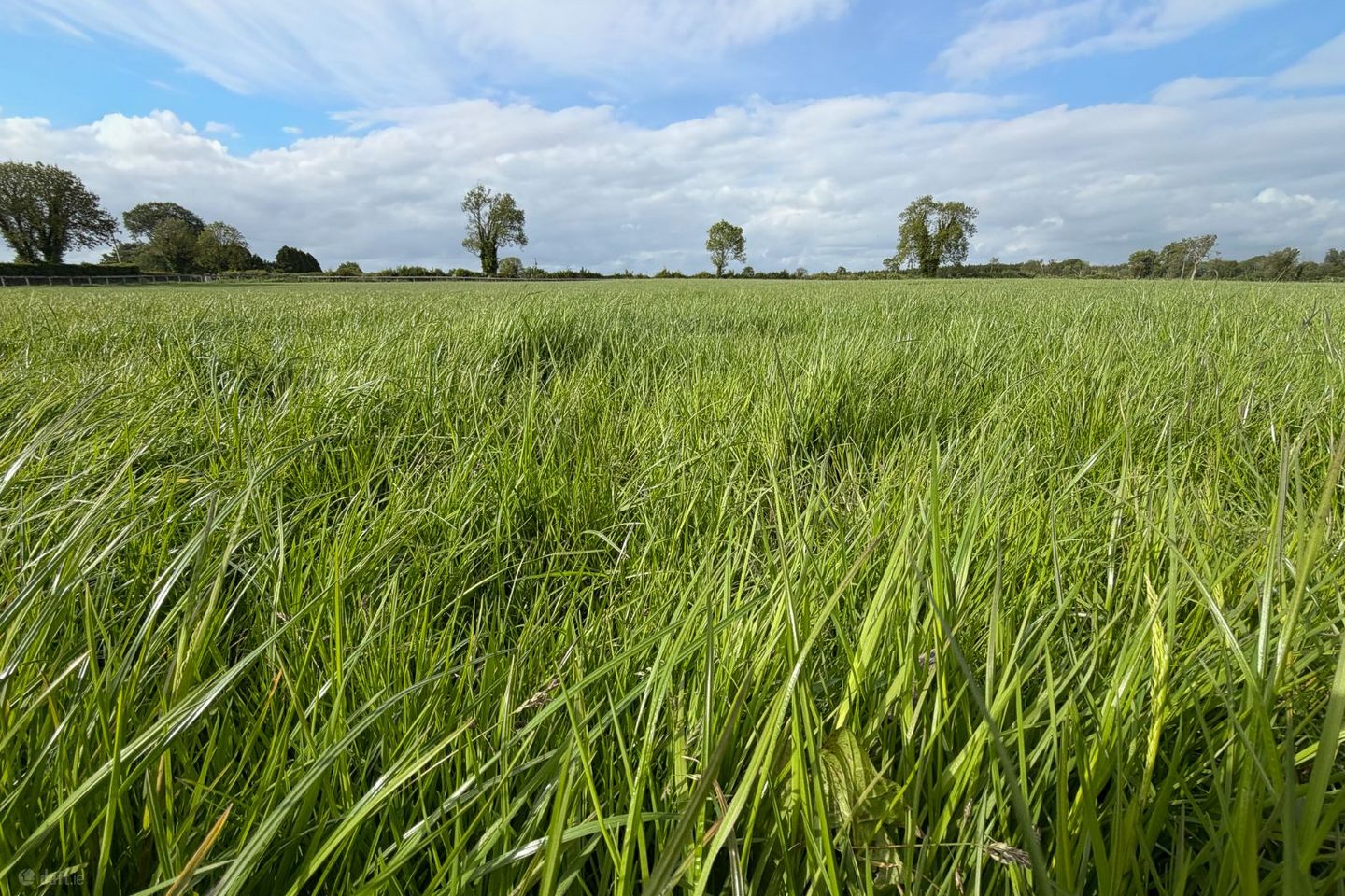 Churchquarter, Clonoulty, Cashel, Co. Tipperary — photo 1
