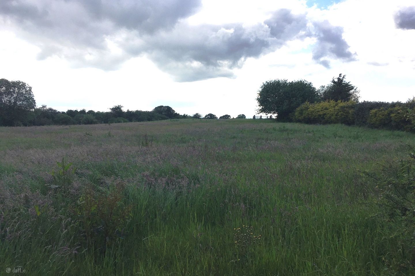 Norwood Kilkeary, Nenagh, Co. Tipperary — photo 1