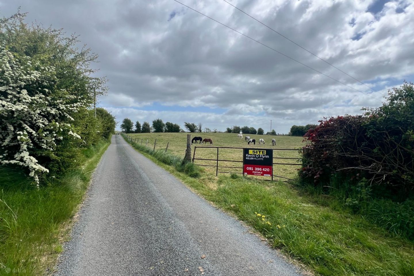 Earlspark, Ballinasloe, Ballydangan, Co. Roscommon, H53T886 — photo 1