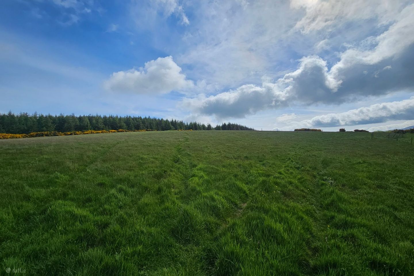 Slieveroe, Ballymore Eustace, Co. Kildare — photo 1