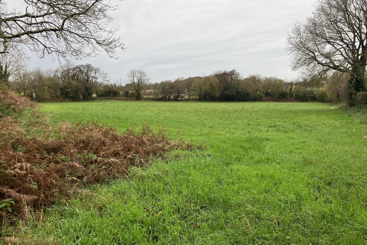 Kilcolman, Dromahane, Mallow, Co. Cork — photo 1