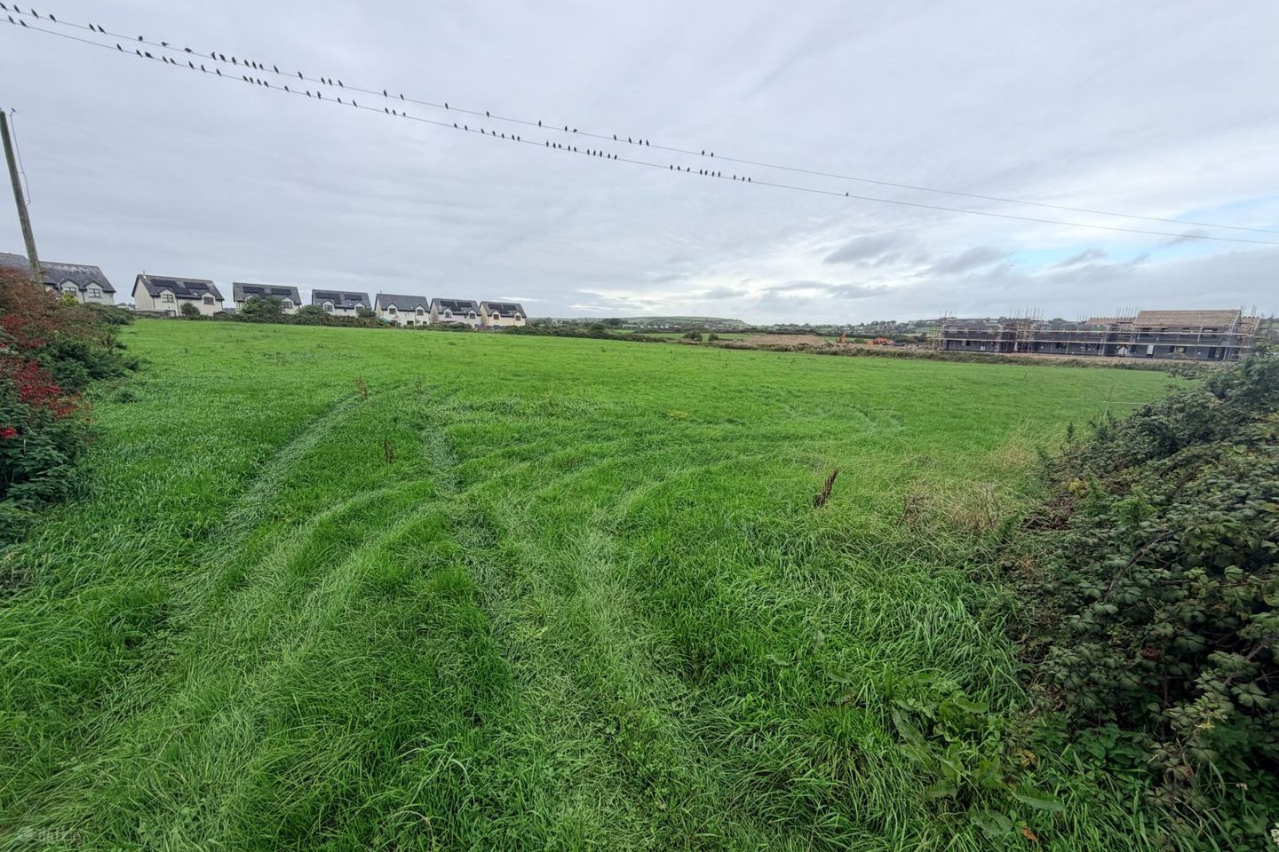 Garryvoe , Garryvoe, Co. Cork — photo 1