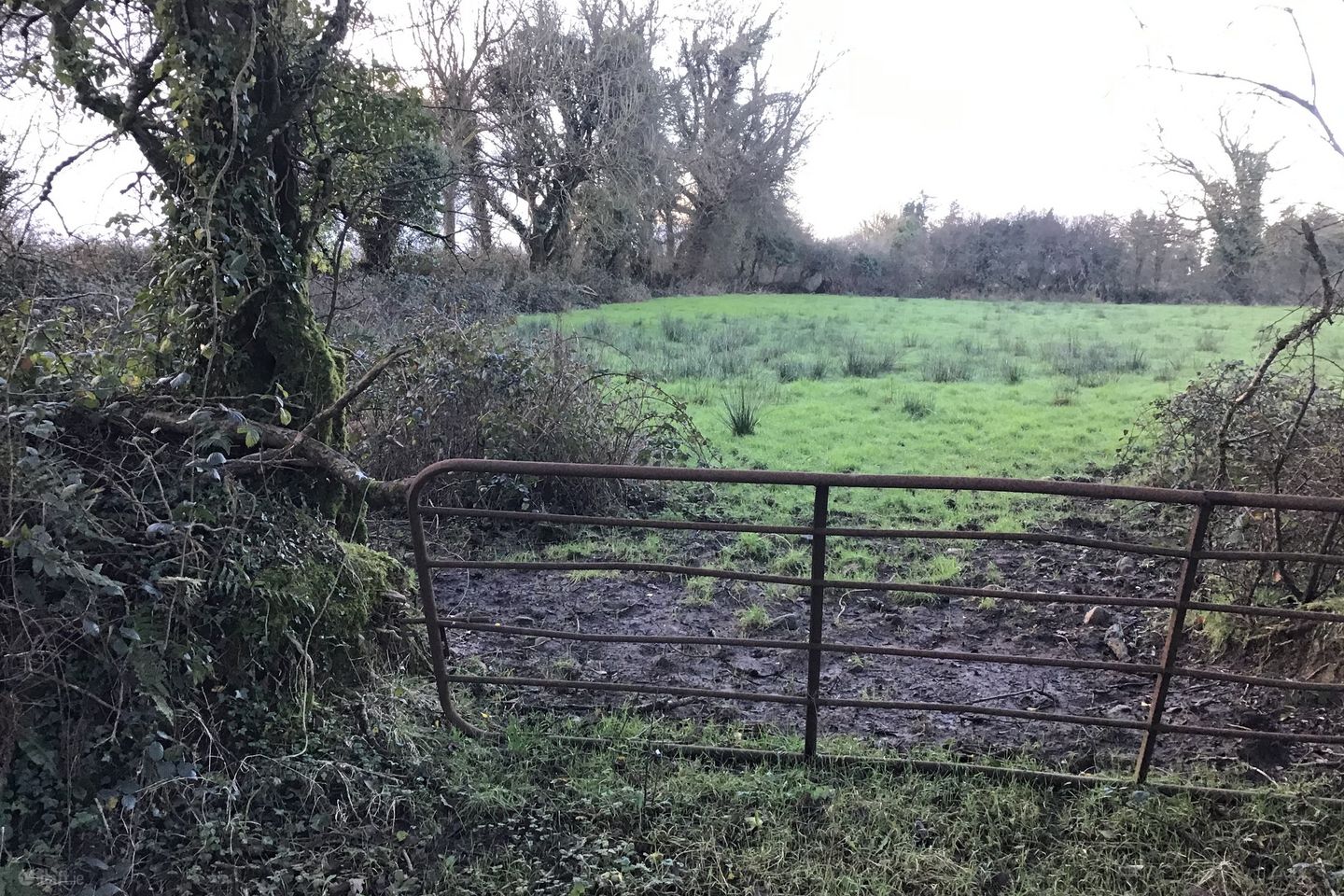 Carrowreagh, Milltown, Co. Galway — photo 1