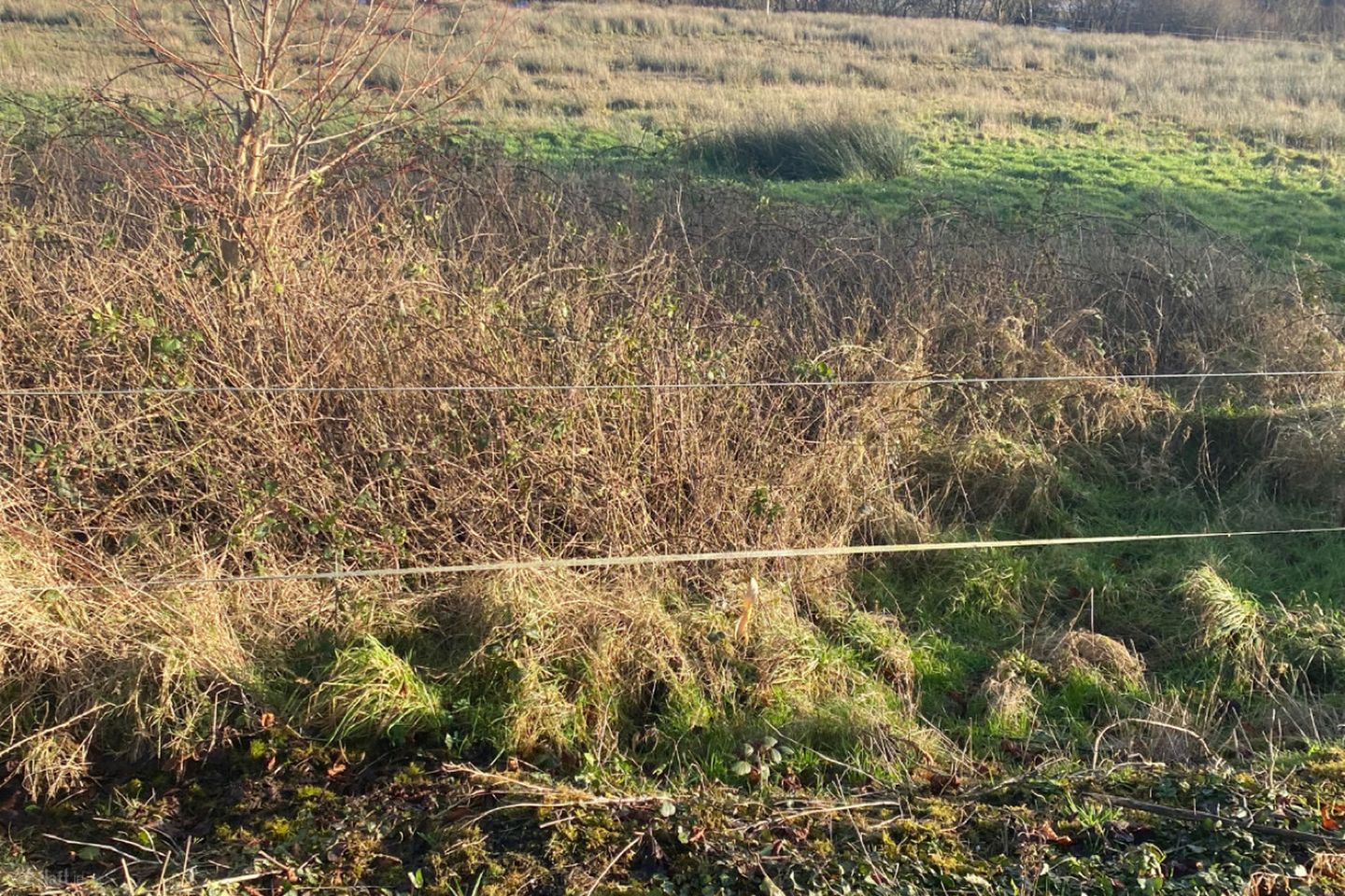 Hawthorn Avenue, Castlebar, Co. Mayo — photo 1