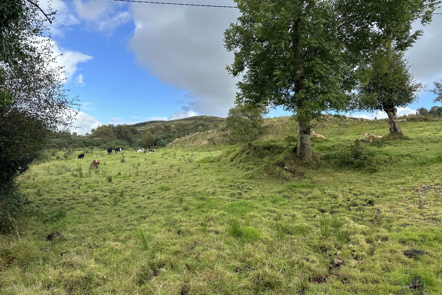 Legnahoory, Kilmacrenan, Letterkenny, Co. Donegal — photo 1