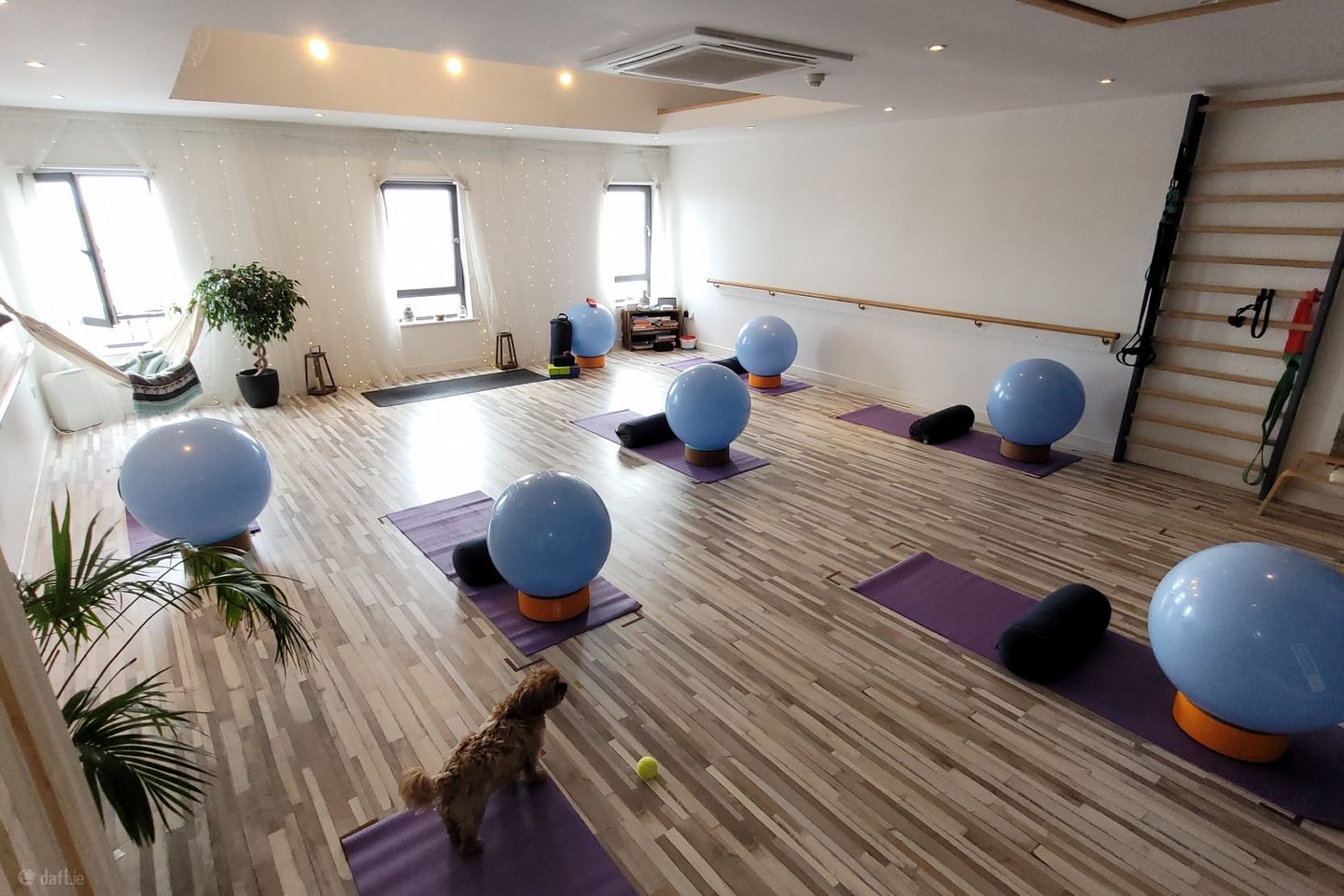 Zenergy Yoga Studios, Unit Two, Blackrock, Co. Louth — photo 1
