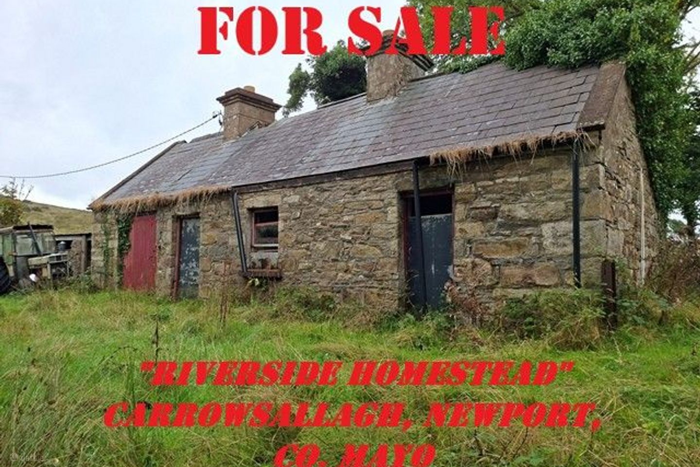 Carrowsallagh, Newport, Co. Mayo, Newport, Co. Mayo — photo 1
