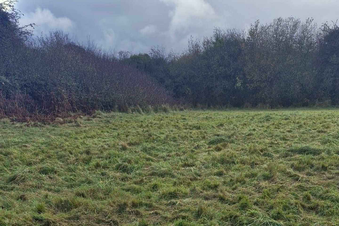 Derryfrench, Loughrea, Tynagh, Co. Galway — photo 1
