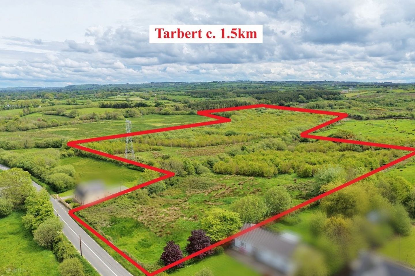 16.48 Acre Forestry Plantation Carhoona, Tarbert, Co. Kerry — photo 1