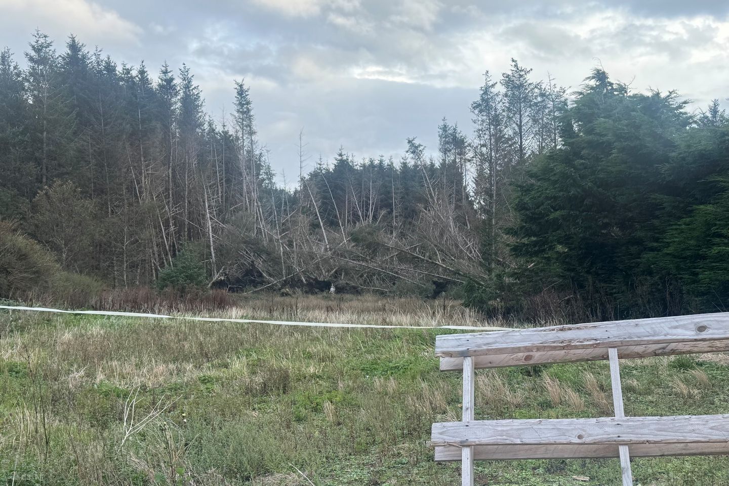 Ballytarsna, Kilshanny, Co. Clare, V95AEH5 — photo 1