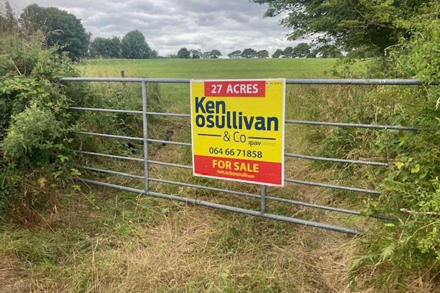 Residential Farm, Doon , Knocknagree, Co. Cork — photo 1