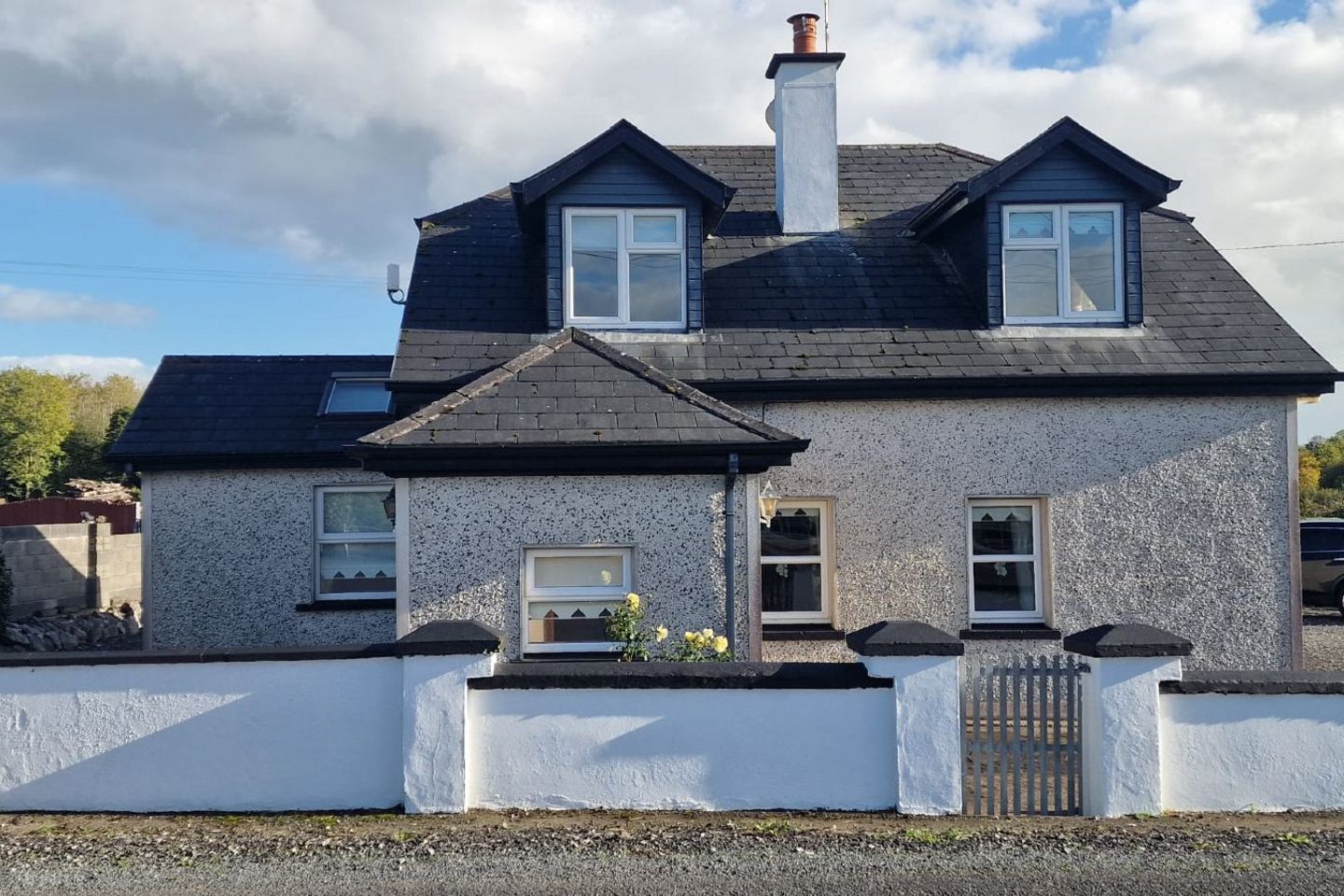 Nellie'S Cottage, Towerhill, Cappamore, Limerick, Cappamore, Co. Limerick — photo 1
