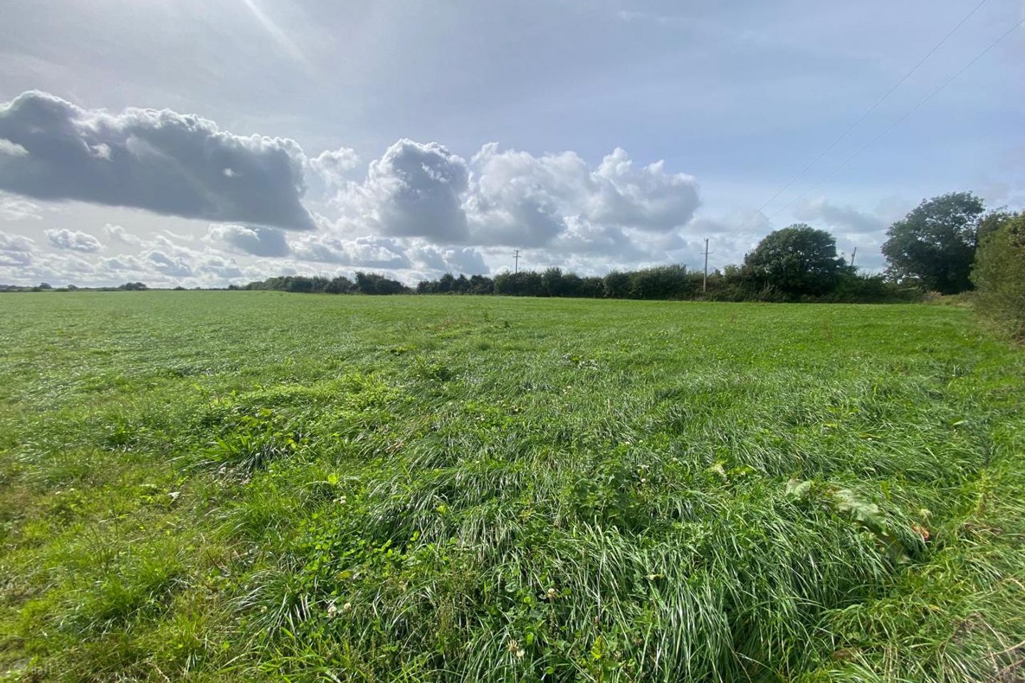 Puckstown, Dunleer, Co. Louth — photo 1