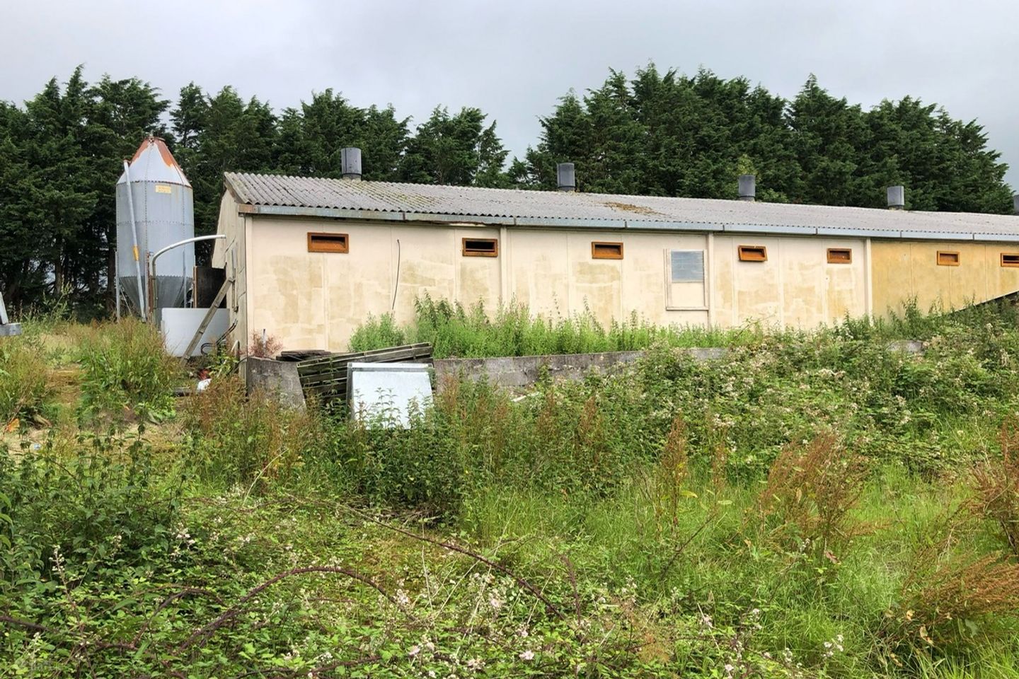 Glebe house ruins and pig farm, Anglont, Killorglin, Co. Kerry, V93HX2V — photo 1