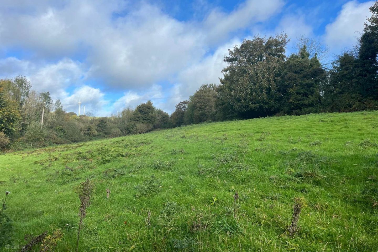 Ballynultagh (1.8 Acre Site), Shillelagh, Co. Wexford — photo 1