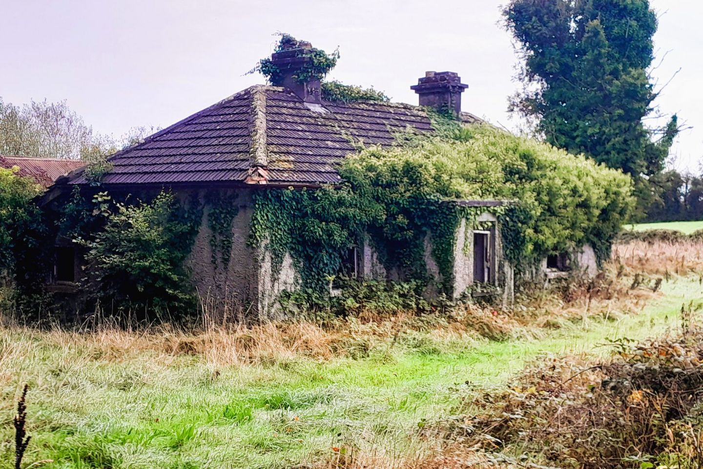 Toorfin Shroid , Longford Town, Co. Longford — photo 1