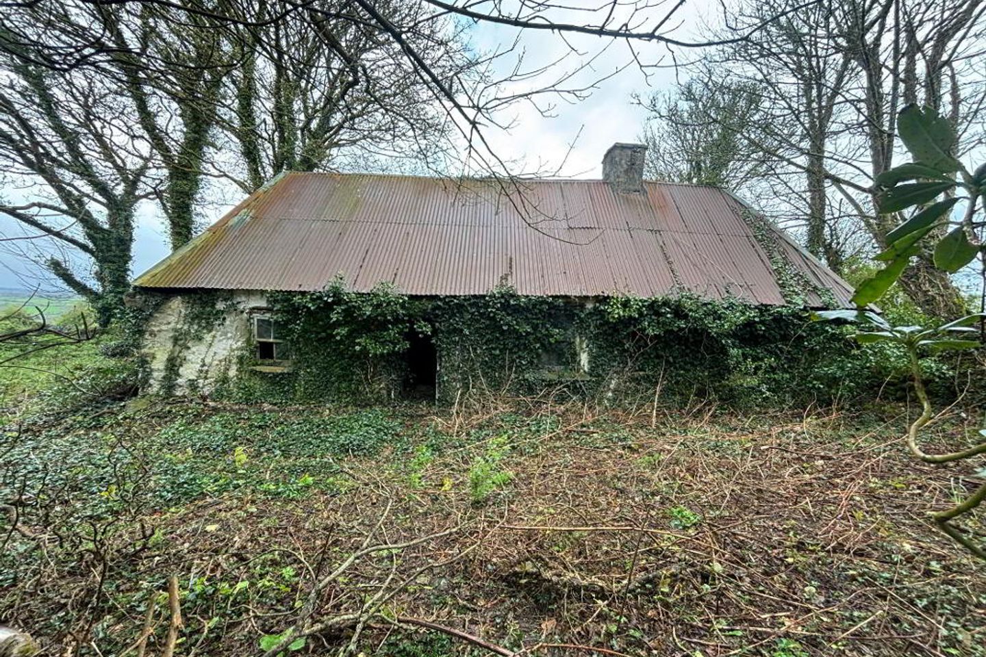 Derry, Banteer — photo 1