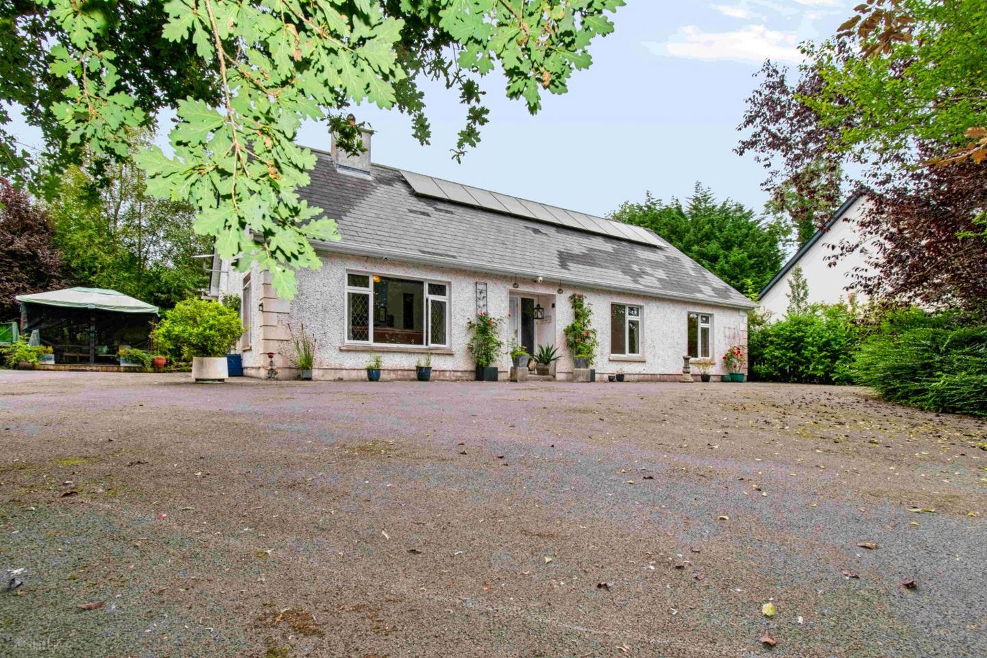 Drumnalassan, Ballaghaderreen, Ballagh, Co. Roscommon, F45R660 — photo 1