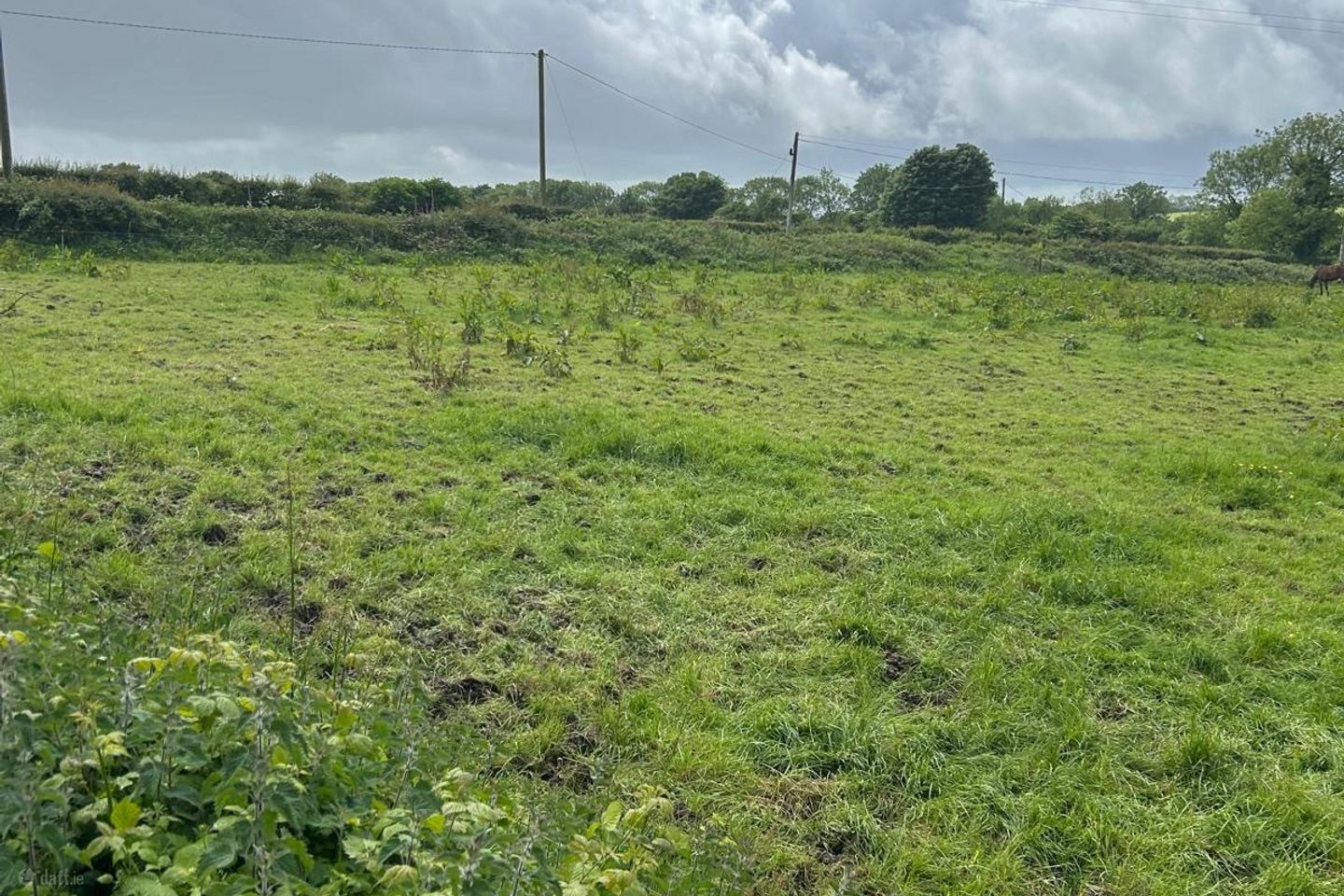 Carriganassa, Killeagh, Co. Cork — photo 1