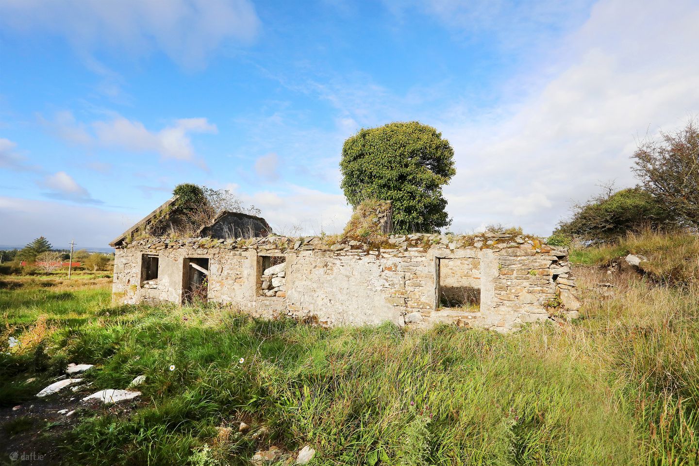 C. 12.5 acres & Derelict Cottage, Curryanne, Swinford, Co. Mayo — photo 1