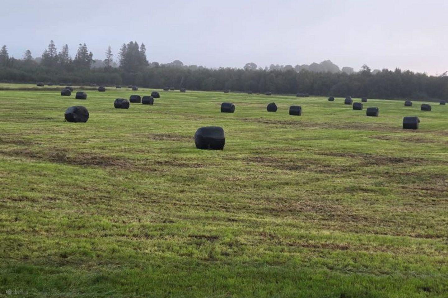 Glencarra, Loughanavalley, Co. Westmeath — photo 1