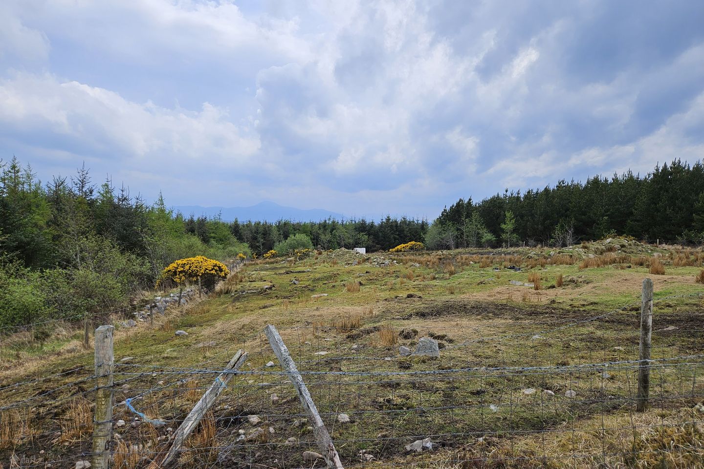 Carrowsallagh, Newport, Co. Mayo — photo 1