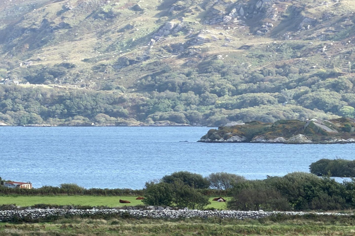 Beenbane, Waterville, Co. Kerry, V23F653 — photo 1