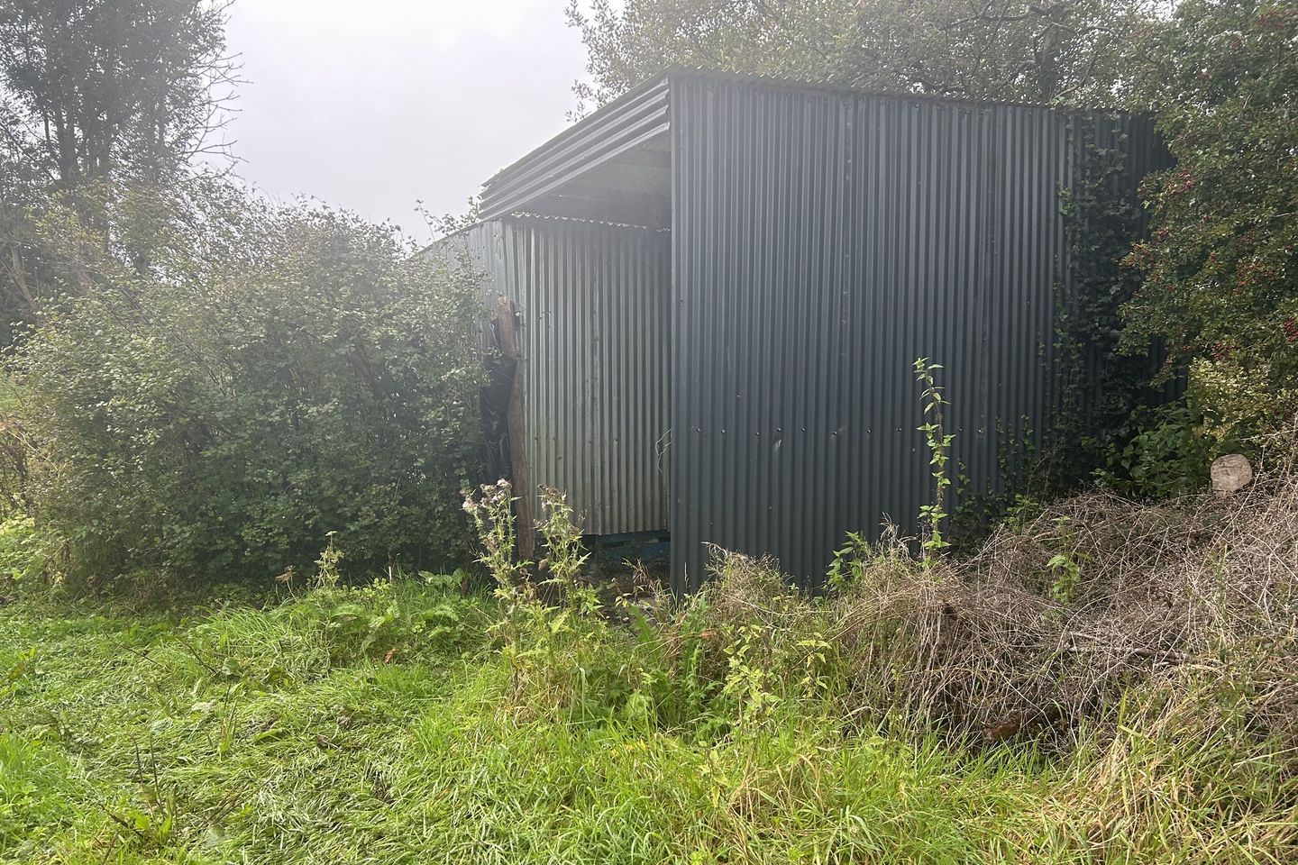 Dromore, Farranfore, Co. Kerry — photo 1